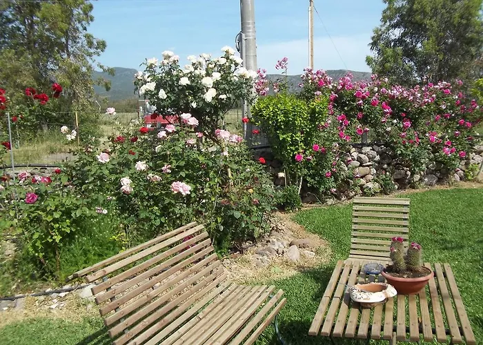 Il Vecchioliveto Di Ornella