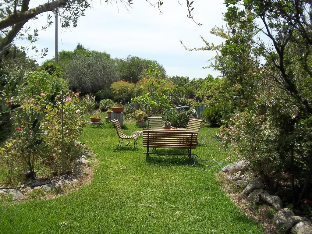 Il Vecchioliveto Di Ornella