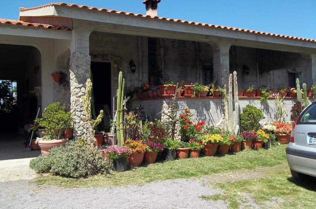 Bed & Breakfast Il Vecchioliveto Di Ornella *