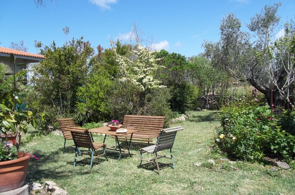 Bed & Breakfast Il Vecchioliveto Di Ornella Marrubiu