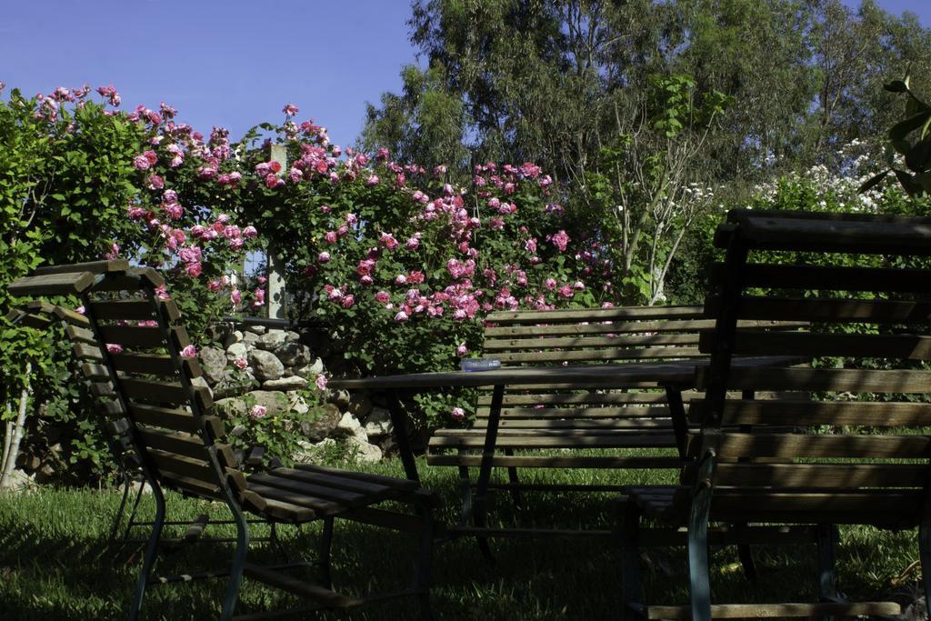 Il Vecchioliveto Di Ornella