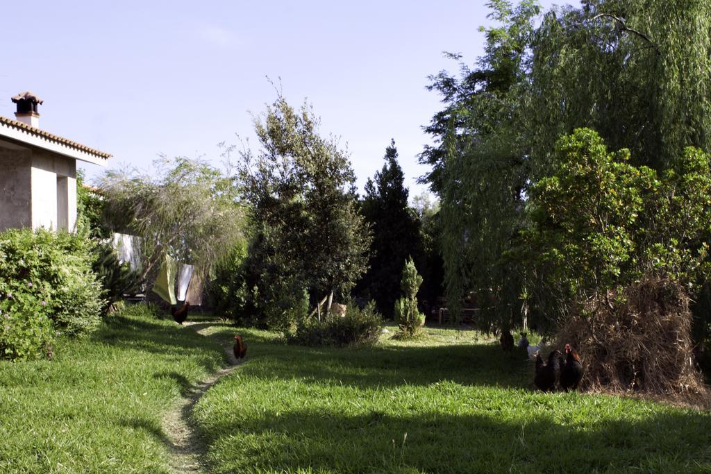 Bed & Breakfast Il Vecchioliveto Di Ornella Marrubiu