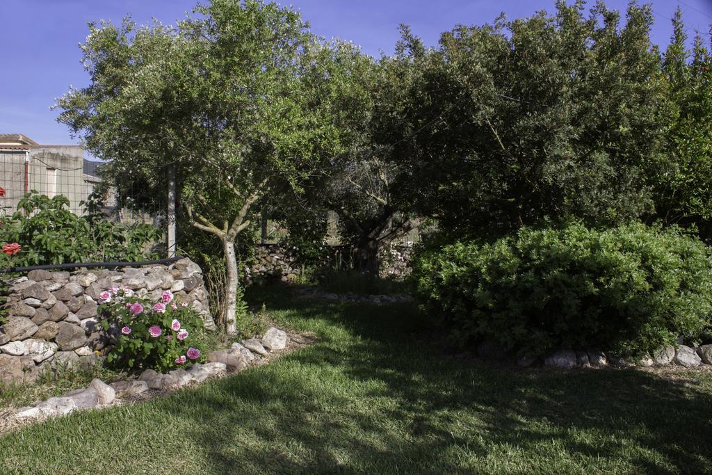 Bed & Breakfast Il Vecchioliveto Di Ornella