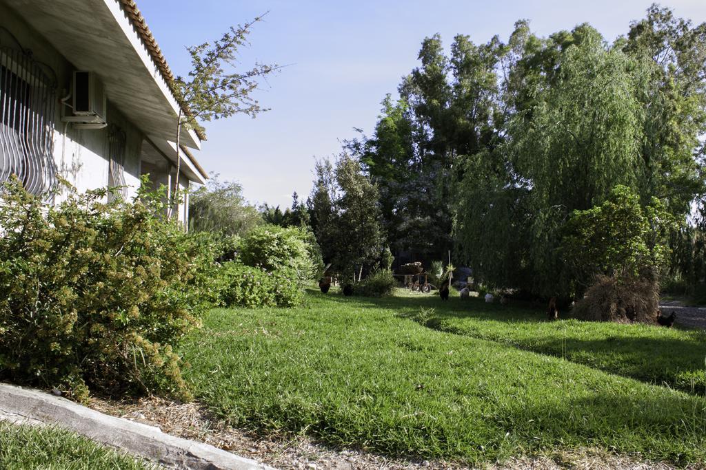 Bed & Breakfast Il Vecchioliveto Di Ornella