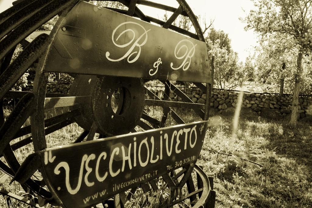 Il Vecchioliveto Di Ornella Bed & Breakfast