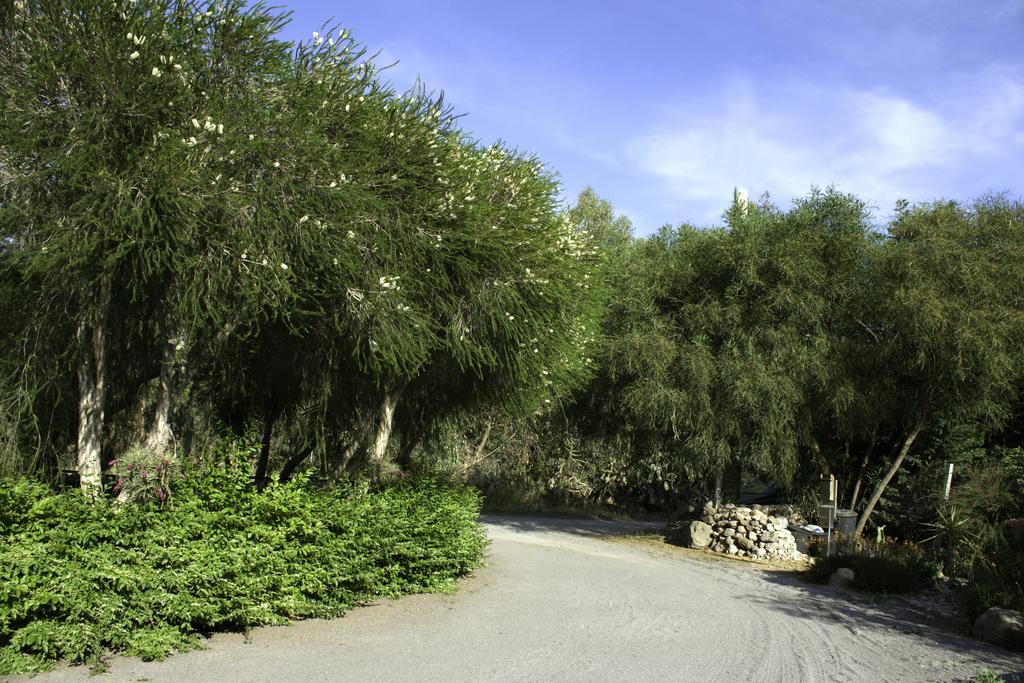 Bed & Breakfast Il Vecchioliveto Di Ornella Marrubiu