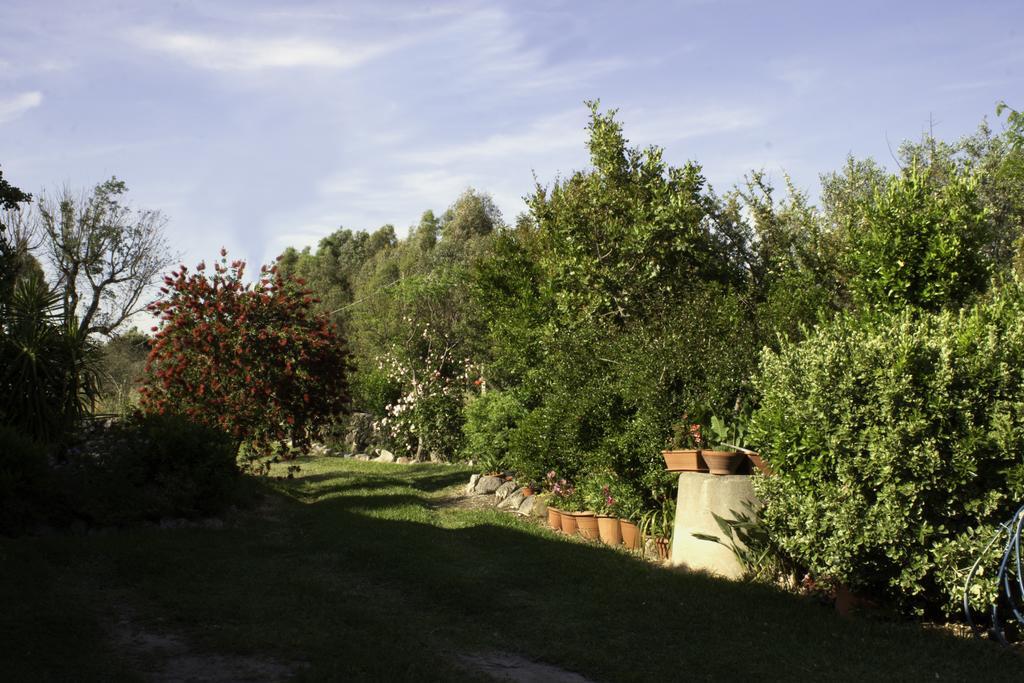 Bed & Breakfast Il Vecchioliveto Di Ornella