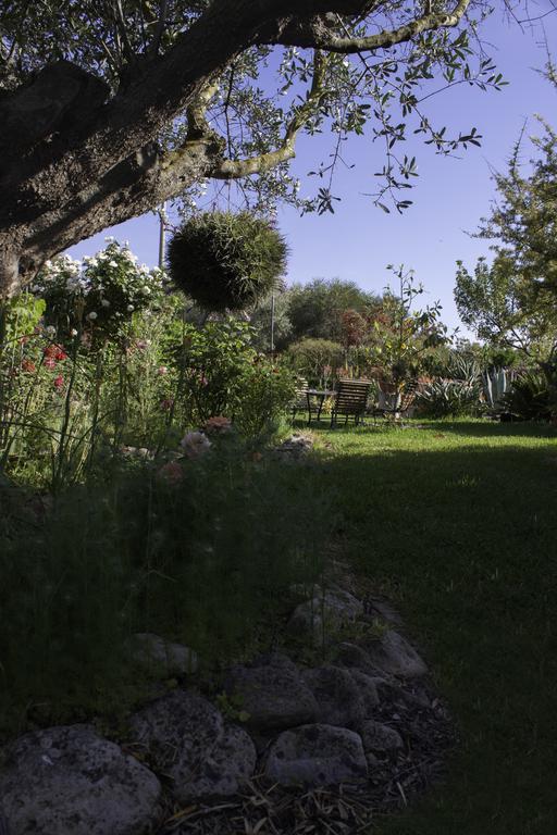Il Vecchioliveto Di Ornella Bed & Breakfast
