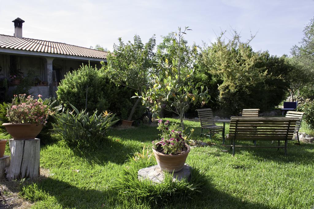 Il Vecchioliveto Di Ornella Bed & Breakfast