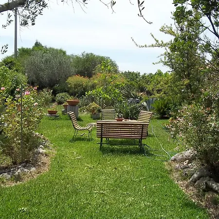 Il Vecchioliveto di Ornella Bed and Breakfast Marrùbiu Camera foto
