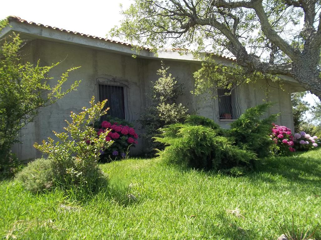 Bed & Breakfast Il Vecchioliveto Di Ornella Marrubiu