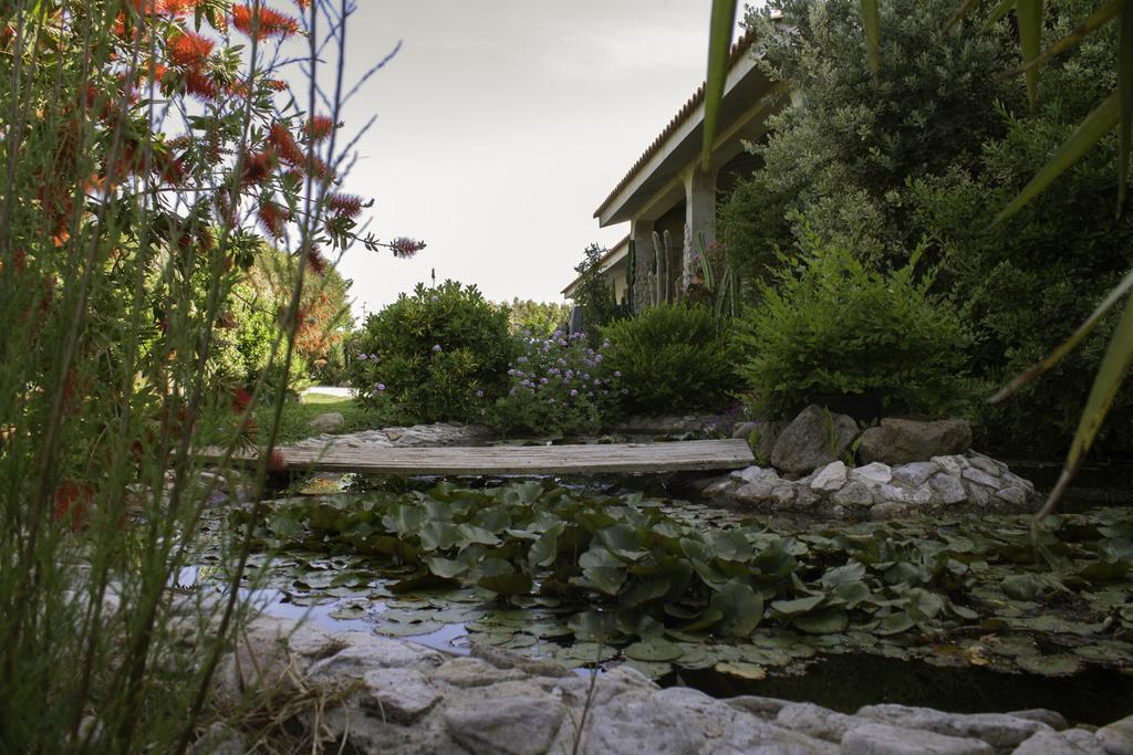 Bed & Breakfast Il Vecchioliveto Di Ornella