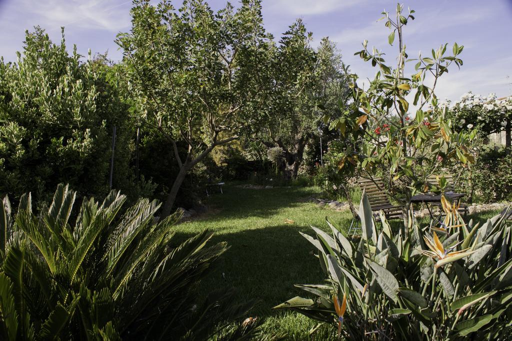 Il Vecchioliveto Di Ornella Bed & Breakfast *