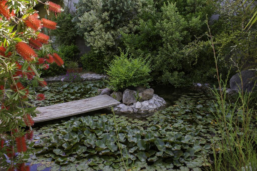 Bed & Breakfast Il Vecchioliveto Di Ornella